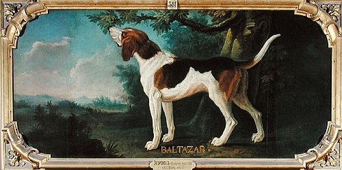 Baltazar, 1721, Alexandre-François Desportes