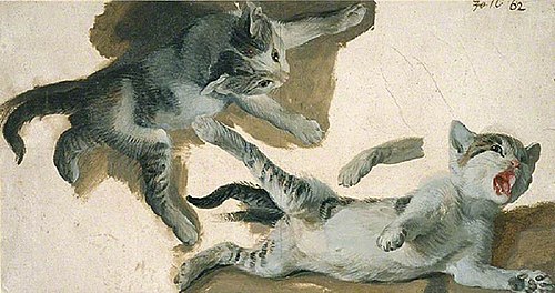 Sketches of a kitten, , Alexandre-François Desportes