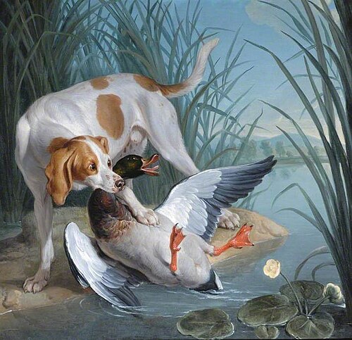 A Dog and a Wild Duck, , Alexandre-François Desportes