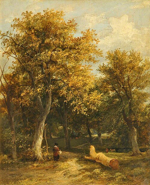 The Edge of a Wood, 1845, James Stark