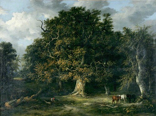 The Forest Oak, 1843, James Stark