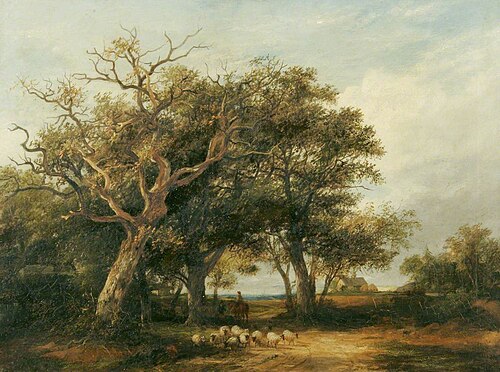 Marlborough Forest, , James Stark