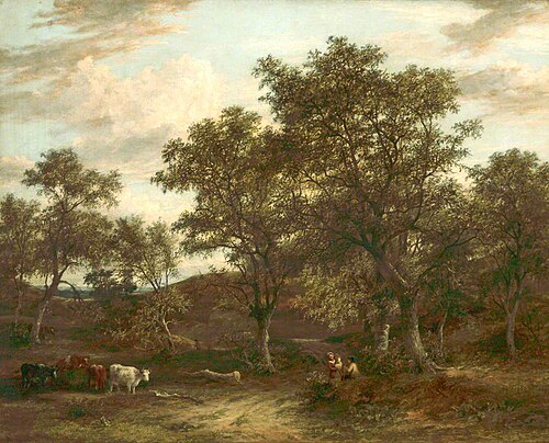Marlborough Forest, , James Stark