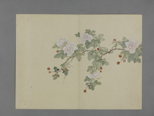 蒋溥花卉图册, , Pu Jiang