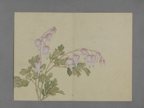 蒋溥花卉图册, , Pu Jiang
