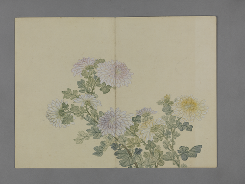 蒋溥花卉图册, , Pu Jiang