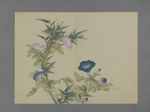 蒋溥花卉图册, , Pu Jiang