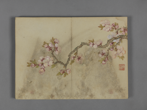 蒋溥花卉图册, , Pu Jiang