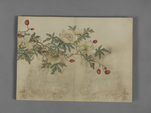 蒋溥花卉图册, , Pu Jiang