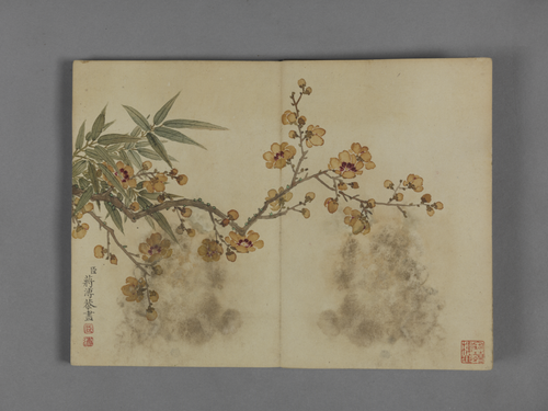 蒋溥花卉图册, , Pu Jiang