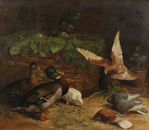 Mallards and Pigeons, 1876, Randolph Caldecott