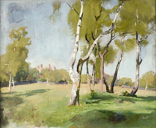 Rakvere varemed (Rakvere maastik), 1906, Paul Raud