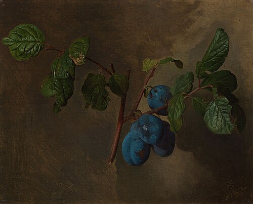 Plums with a Twig, 1856, Josef Navrátil