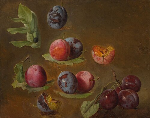 Plums, 1854, Josef Navrátil