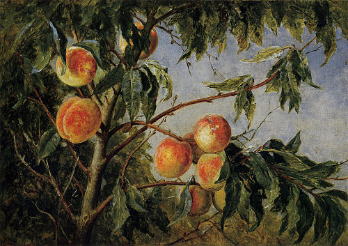 Peaches, , Worthington Whittredge
