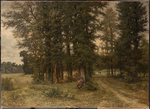Motif from the Frankfurt city forest, , Peter Burnitz