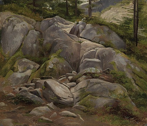 Fusssteig nach Menzenschwand, , Eugen Bracht