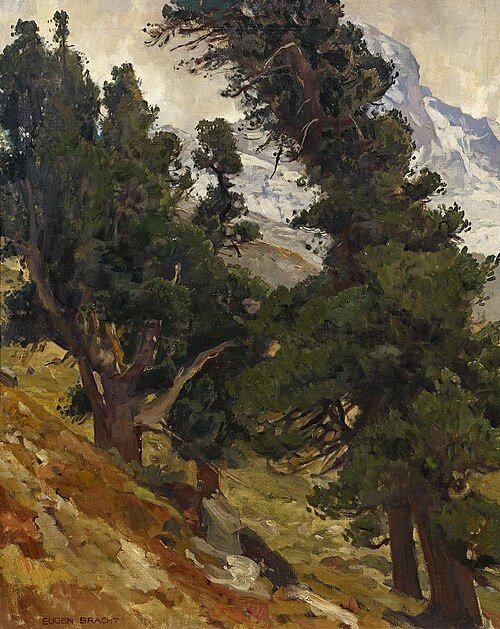 Swiss stone pine landscape in Switzerland, 1906, Eugen Bracht