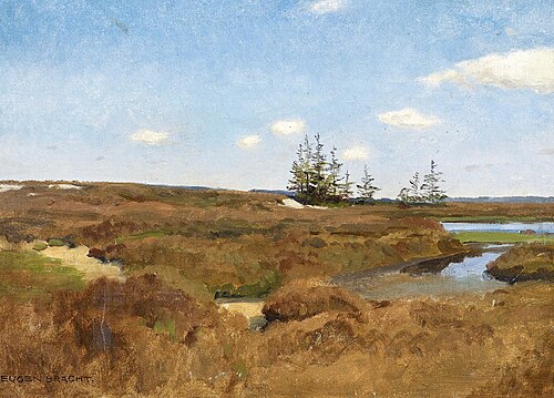 Moorland, , Eugen Bracht