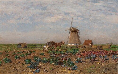 Red cabbage field in Holland, 1880, Eugen Jettel