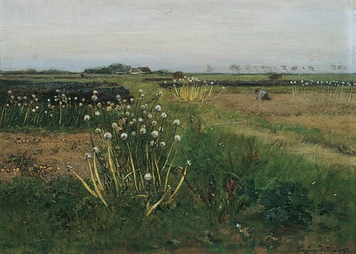 Blühendes Zwiebelfeld, 1897, Eugen Jettel