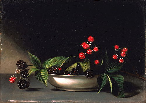 Blackberries, 1813, Raphaelle Peale