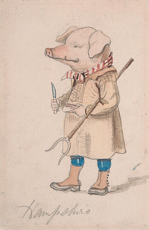 Caricature of the County Hampshire, , John Leech
