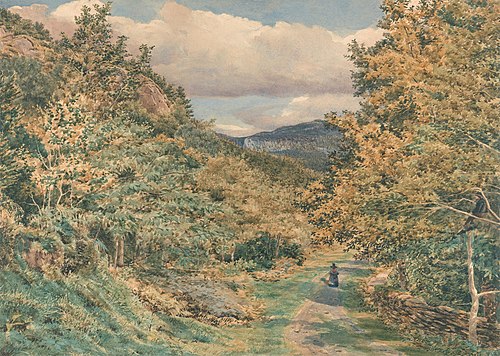 A Road Near Bettws-y-Coed, 1851, George Price Boyce