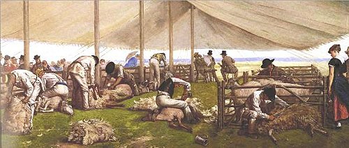 A sheep shearing match, 1875, Eyre Crowe