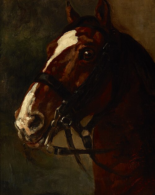 Bay Horse's Head, , Piotr Michałowski