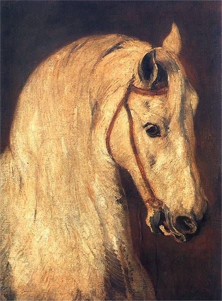 Studium of Horse Head., 1846, Piotr Michałowski