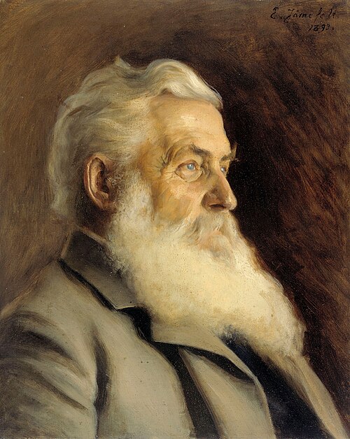 Portrait of Mr. Ahnger, 1893, Eero Järnefelt