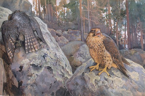 Falcons in the Forest, 1895, Eero Järnefelt