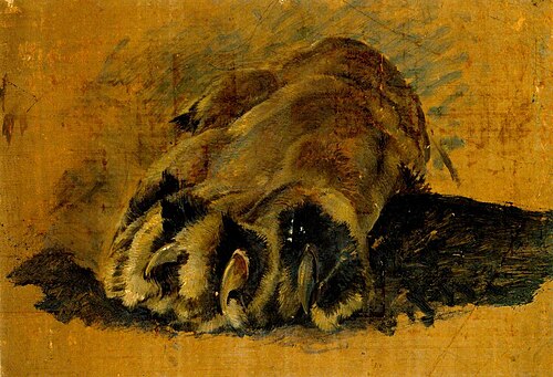 Oil Sketch of a Lion's Paw, , John Frederick Lewis
