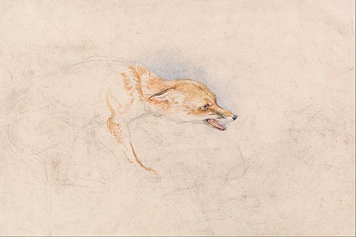 Study of a Crouching Fox, Facing Right, 1820, John Frederick Lewis