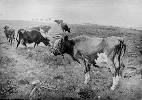 Køer i tøjr, 1888, Theodor Philipsen