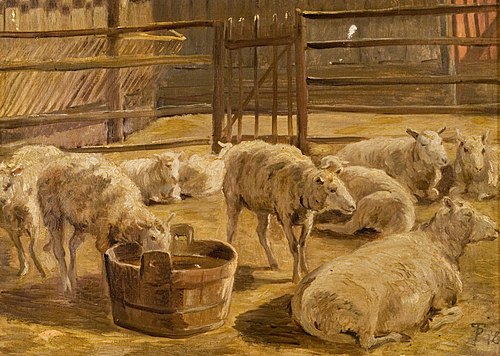 Moutons dans un pli, 1892, Theodor Philipsen