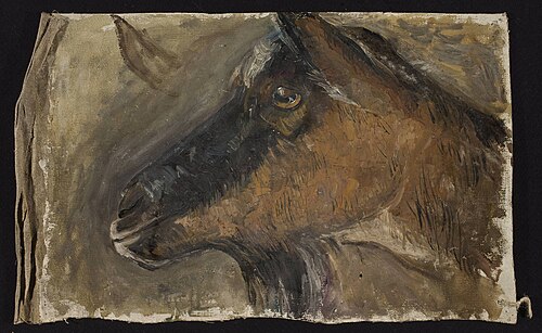 Study of a goat’s head, 1919, Tadeusz Makowski