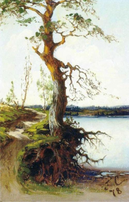 Pine on the Shore, 1878, Fanny Churberg