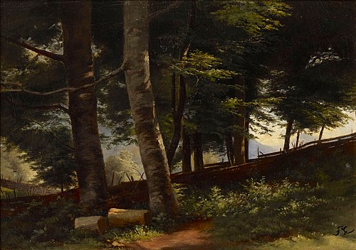 Inside the Forest, , Fanny Churberg