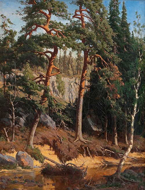 Dans la forêt, 1878, Fanny Churberg