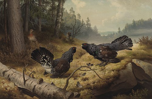 The Fighting Capercaillies, 1886, Ferdinand von Wright