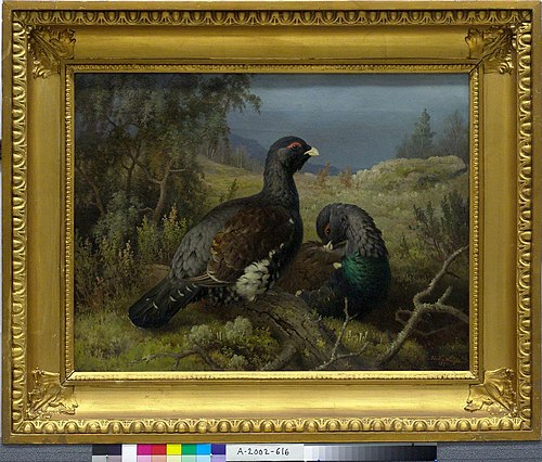 Capercaillie Cocks, 1876, Ferdinand von Wright
