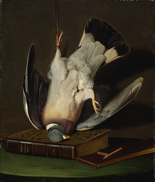 A Dead Wood Pigeon, 1867, Ferdinand von Wright