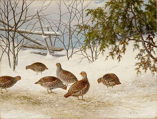 Partridges in Snow, 1895, Ferdinand von Wright