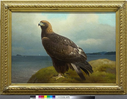 Golden Eagle, 1884, Ferdinand von Wright