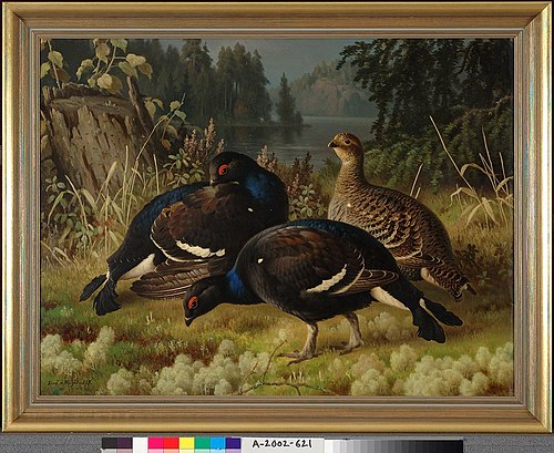 Black Grouse, Two Cocks and a Hen, 1875, Ferdinand von Wright