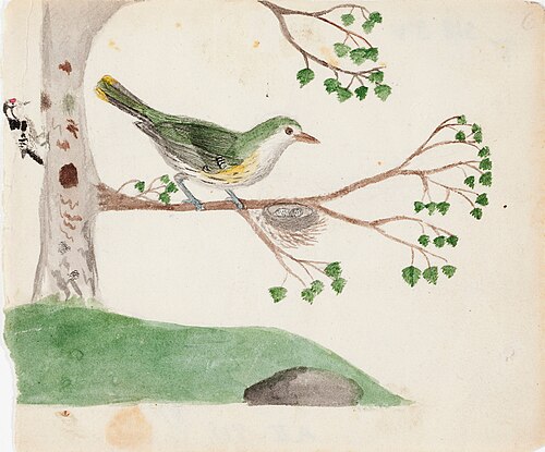 Two Birds, 1830, Ferdinand von Wright