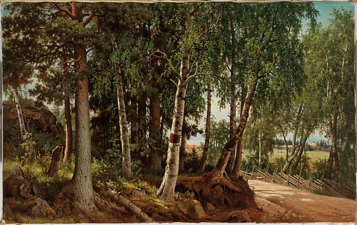 Forest Landscape from Haminalahti, 1880, Ferdinand von Wright