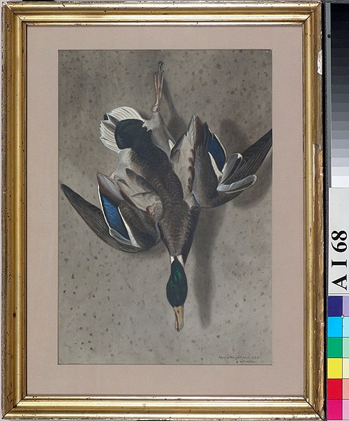 En från fötterna upphängd and, 1834, Ferdinand von Wright